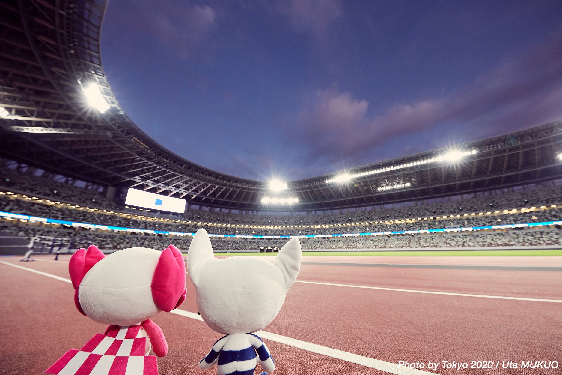 OKS-ZŠZ  bo zaradi epidemije COVID-19 tradicionalne olimpijske kampe kandidatov za nastop na OI Tokio 2020 izpeljal v virtualni obliki. 