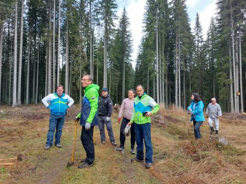 sajenje-pokljuka-16