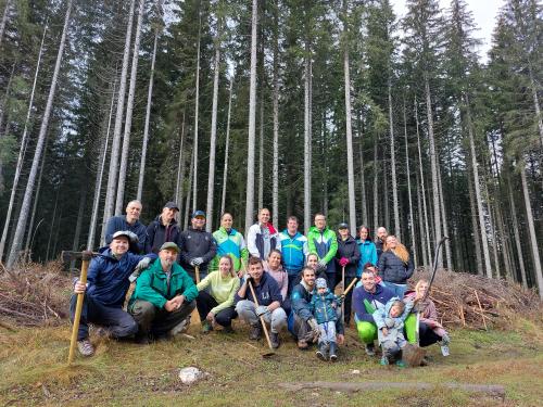 sajenje-pokljuka-20